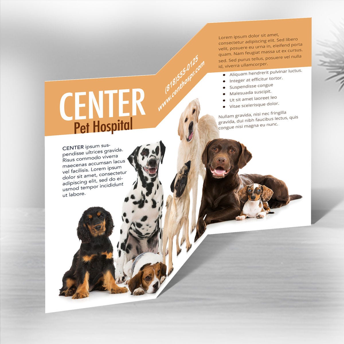 Custom Z-Fold Brochures