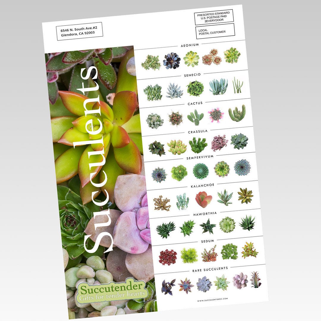 EDDM Full Service Sell Sheets
